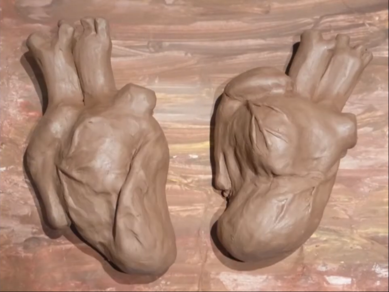 El ultimo latido corazon modelado stopmotion arcilla dibujo homofobia Bogota Andrea Galindo Nebla arte