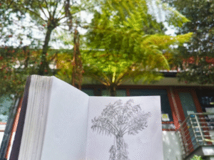 Nebla art Andrea Galindo dibujo planta Bogota helecho